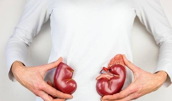 体检时发现肾脏有“囊肿”要紧吗？若有这种情况需留心